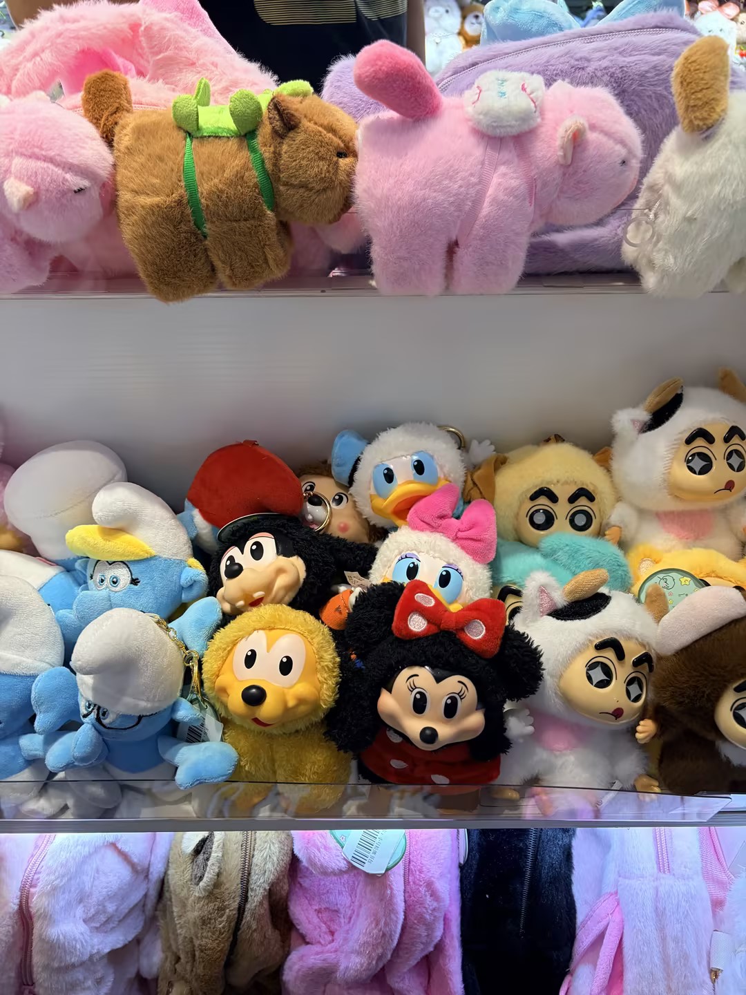 正和方略-毛绒全托店